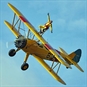 wing walk cover